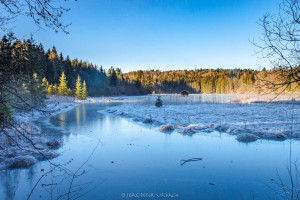 Der leicht zugefrorene Hackensee